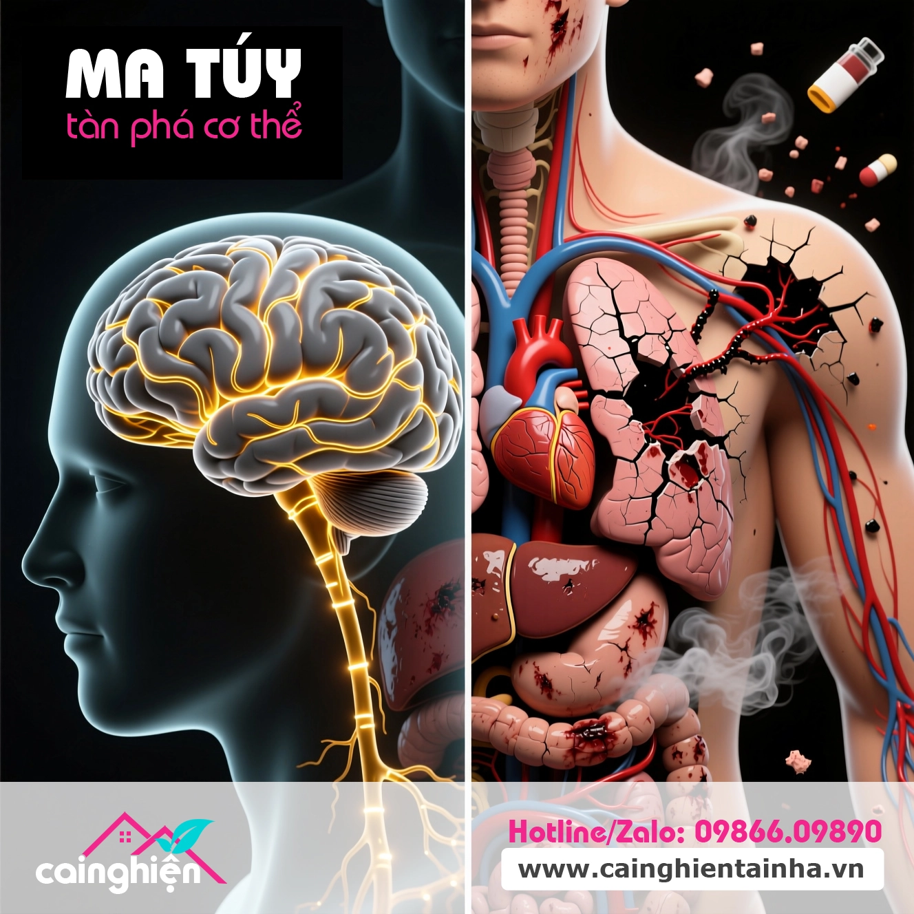 Tác Hại Của Ma Túy Đến Não Bộ Và Cơ Thể